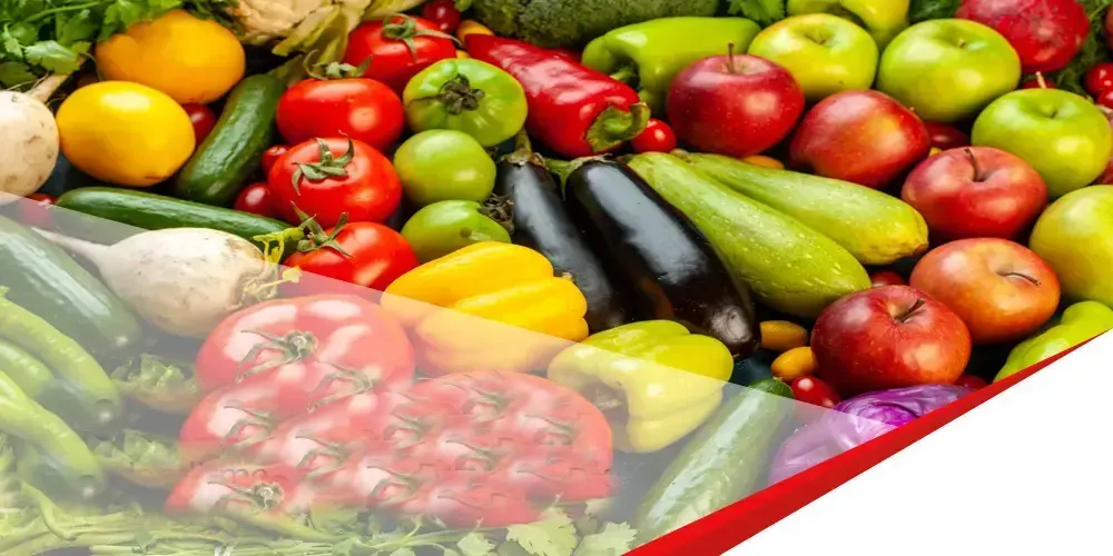 Learn the necessary steps to obtain the FSSC 22000 certificate. Kayra Certification ensures you complete the process quickly and efficiently.